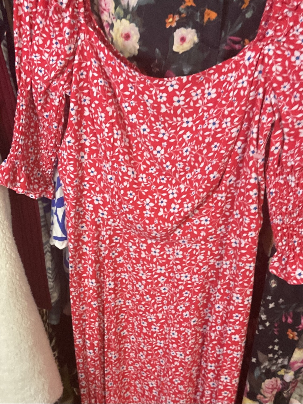 Francesca's Collections Red Floral Maxi Dress